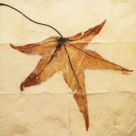 2001_09_RequiemForAdam_sq